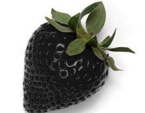 黑料.su吃瓜网站小鱼海棠,揭秘黑料.su吃瓜网站背后的神秘故事