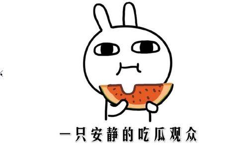 黑料吃瓜吗,跟随“黑料吃瓜”探寻明星幕后真相